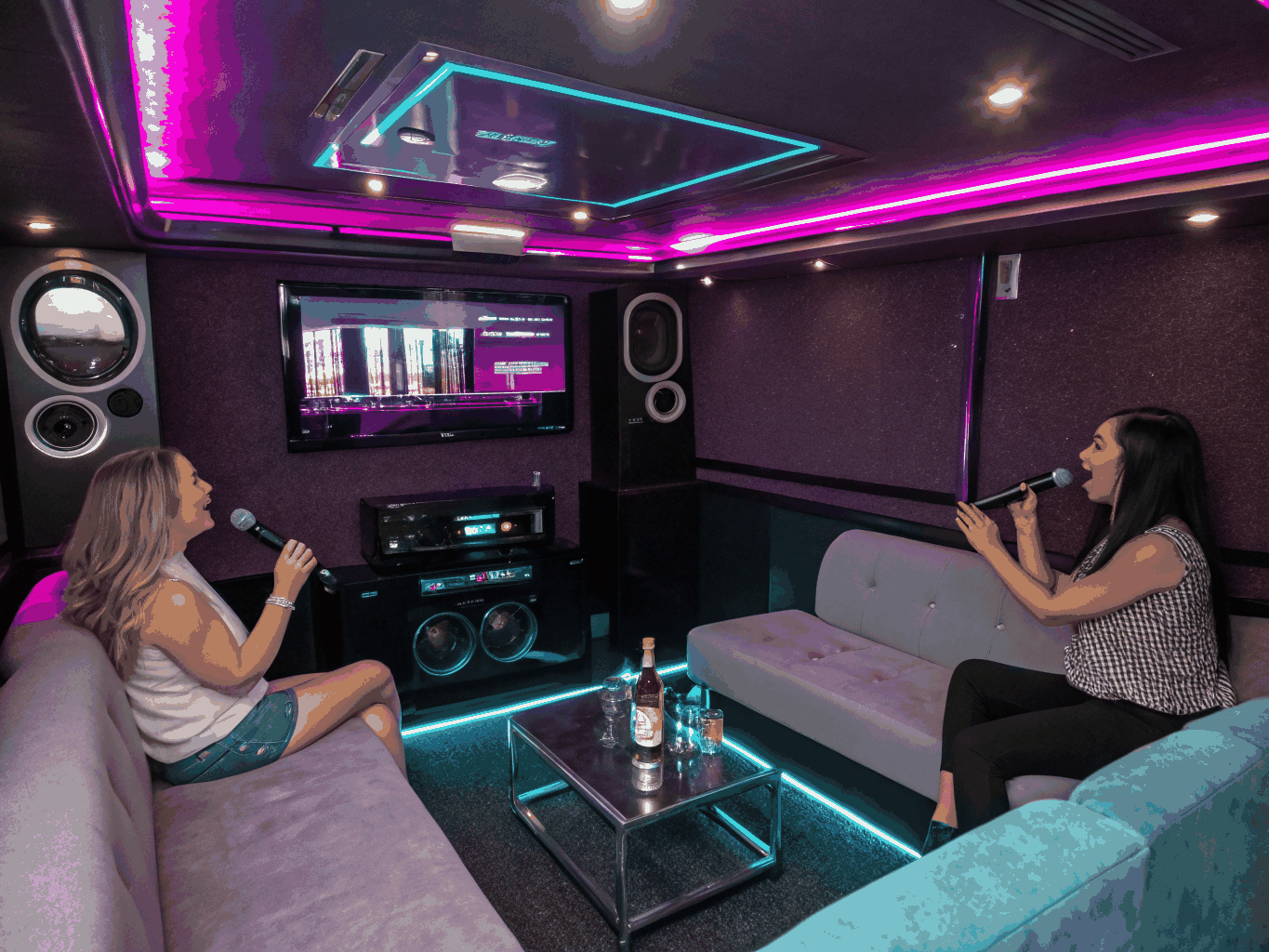 Atmospheric private karaoke room with warm downward lighting and dual microphones